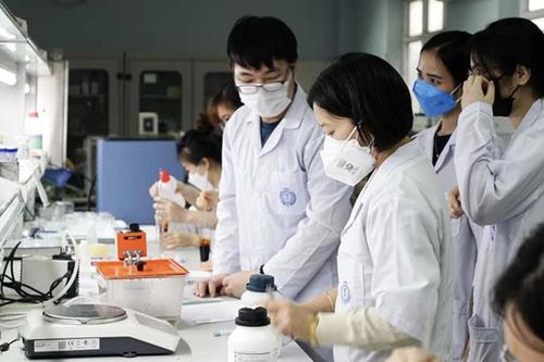 17 công trình vào chung khảo Giải thưởng khoa học công nghệ dành cho giảng viên trẻ