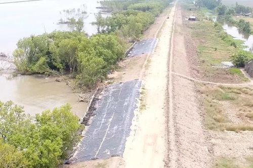 Cà Mau: Đồng bộ giải pháp cứu bờ biển