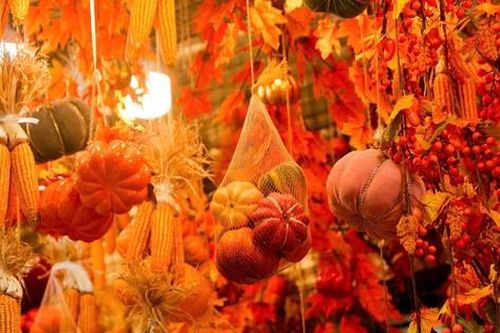 Phố Hàng Mã thay áo mới, ngập tràn màu sắc 'ma mị' đón Halloween