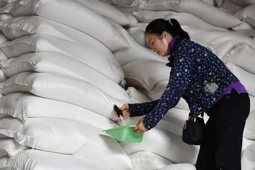 Ấn Độ 'mở kho' bán hàng, giá gạo Thái lao dốc, hàng Việt vững top đầu thế giới