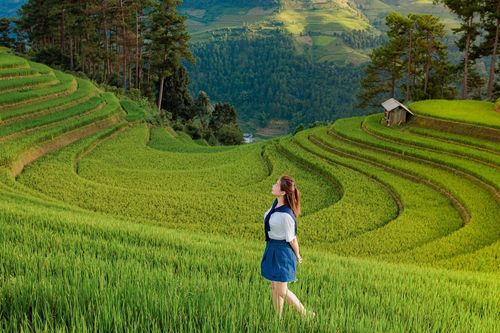 Du khách Hải Phòng tới mùa vàng Mù Cang Chải, vui chơi 'thả ga' chưa hết 2 triệu