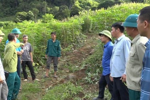 Đồi cao 600m xuất hiện vết nứt dài, uy hiếp 136 người cùng bản ở Sơn La