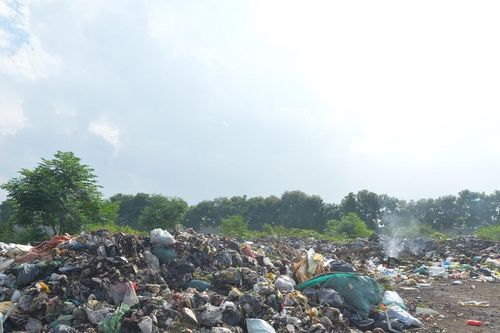 Rác thải đổ đầy đê sông Bùng ở Diễn Châu