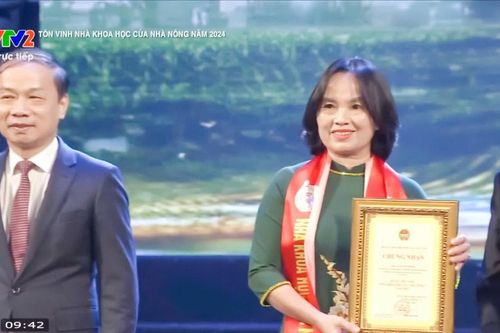 Nghệ An có 1 cá nhân được vinh danh 'Nhà khoa học của nhà nông'