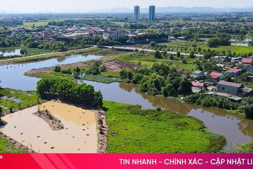 Hình hài khu bảo tồn chim trời trên đất Thành Sen