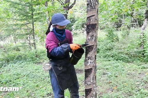 Tỉnh Iwate - thủ phủ sản xuất sơn mài của Nhật Bản