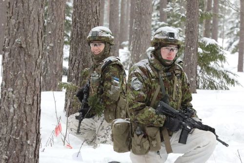 Chính phủ Estonia xem xét khả năng điều binh sỹ tới miền Tây Ukraine