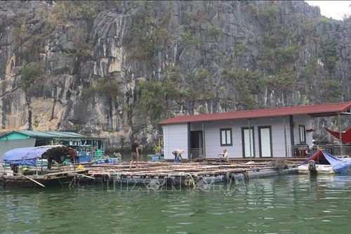 Giúp sức vực dậy các hợp tác xã sau thiên tai