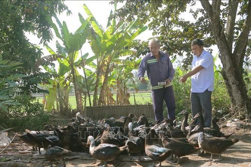 Giảm nghèo hiệu quả trong vùng đồng bào dân tộc thiểu số
