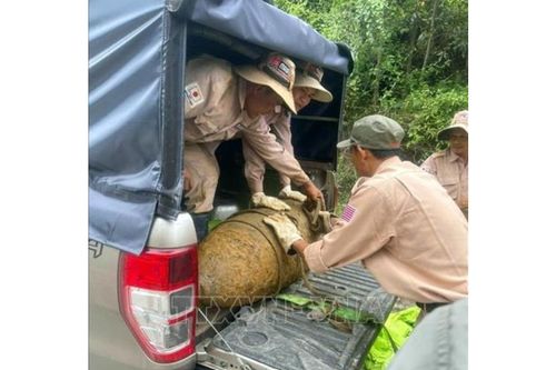 Xử lý an toàn quả bom nặng 350 kg sót lại sau chiến tranh
