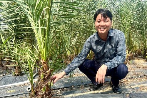 Bỏ phố về trồng cây 'mới lạ', anh nông dân nhẹ nhàng kiếm 40 tỷ đồng/năm