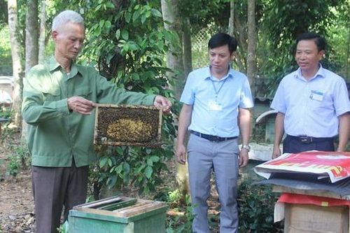 Nuôi ong lấy mật giúp nông dân miền núi thoát nghèo