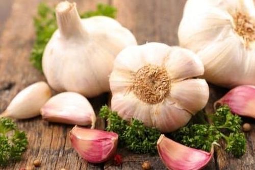 Công dụng của tỏi già trong y học cổ truyền