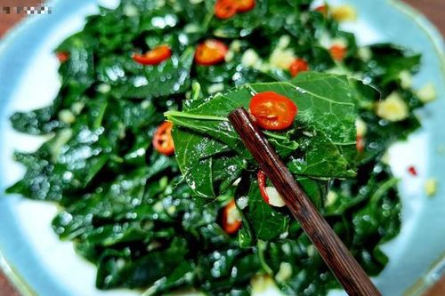 Đừng chỉ ăn quả, lá loại cây này quý như 'nhân sâm người nghèo' ở quê mọc um tùm như cỏ