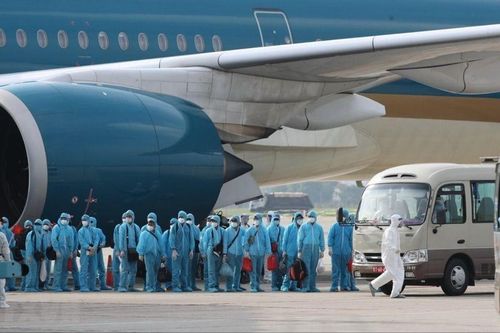 Vụ 'chuyến bay giải cứu': Sếp dùng 'ám hiệu' chia tiền hối lộ cho cấp dưới