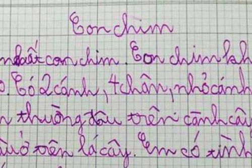 Bài văn 'tả con chim' vỏn vẹn 5 dòng, cô giáo đọc nhưng không chấm điểm