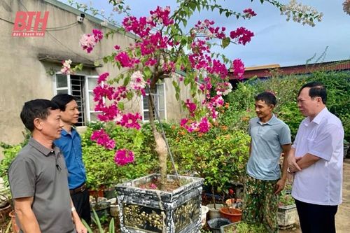 Đẩy mạnh các hoạt động hỗ trợ nông dân