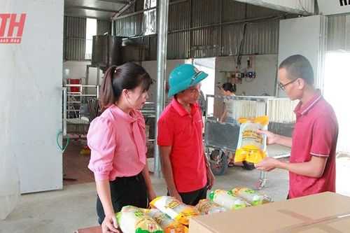 Huyện đoàn Yên Định đồng hành cùng thanh niên lập thân lập nghiệp