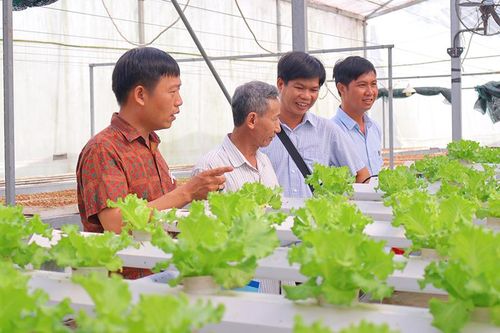 Định hướng phát triển kinh tế tuần hoàn trong nông nghiệp