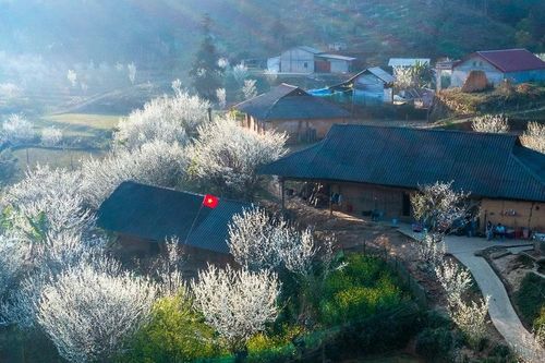 Hội Văn học – Nghệ thuật tiếp nhận tác phẩm dự giải thưởng văn học, nghệ thuật Lào Cai năm 2024