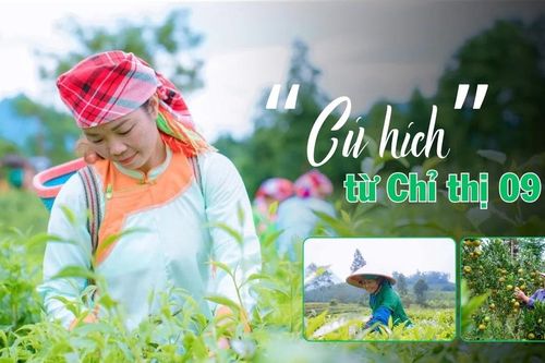 'Cú hích' từ Chỉ thị 09