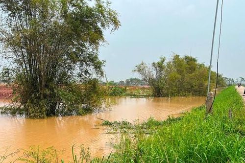 Hải Dương: Kiến nghị xử lý 10 sự cố đê điều trên địa bàn với tổng kinh phí 130 tỷ đồng
