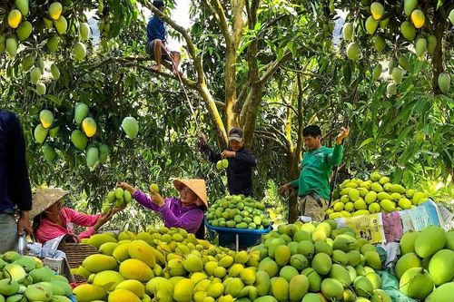 Để nông sản rộng đường xuất khẩu