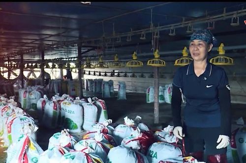 Ngân hàng tiếp sức khách hàng phục hồi sau bão