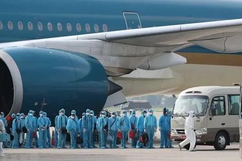 Truy tố 17 bị can trong giai đoạn 2 vụ chuyến bay giải cứu
