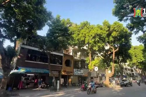 Phố đẹp Trần Phú