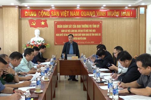 Giám sát việc lãnh đạo, chỉ đạo tổ chức thực hiện Nghị quyết số 08 của Ban Chấp hành Đảng bộ tỉnh khóa XIX tại Nguyên Bình