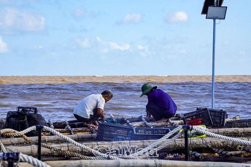 Chủ động ứng phó thiên tai trên biển