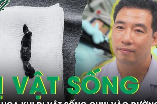 Mối nguy khi dị vật sống chui vào đường thở