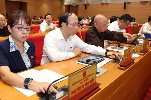 Phê duyệt chủ trương chuyển mục đích sử dụng rừng sang mục đích khác