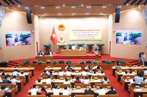 Hà Nội: Dự kiến sử dụng hơn 213 tỷ đồng hỗ trợ sản xuất cây vụ Đông