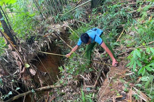 Kỳ cuối: Xác định nguyên nhân và kịch bản ứng phó