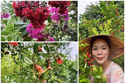 Khu vườn 10.000m2 cho hoa trái quanh năm của ca sĩ Mỹ Lệ