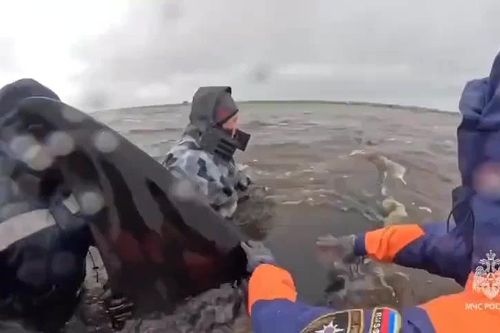Video cá voi sát thủ mắc kẹt ở Kamchatka