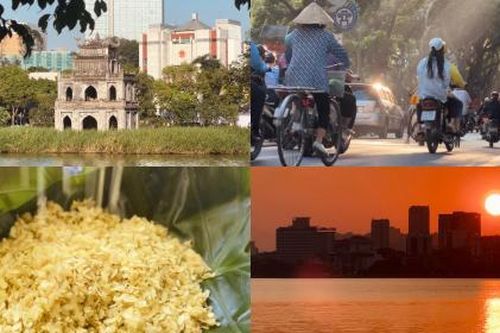 Dịu dàng đắm say thu Hà Nội