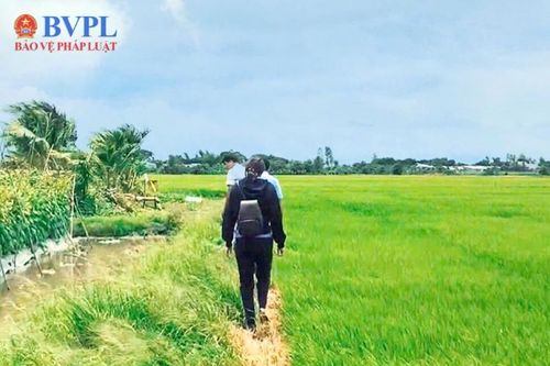 Kiến nghị phòng ngừa vi phạm liên quan hoạt động bẫy chuột bằng điện
