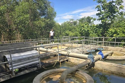 Nhiều điểm lấy nước thô đầu vào ở Nghệ An bị ô nhiễm