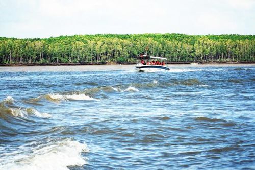 Lòng Tàu: Nơi con sông ở lại
