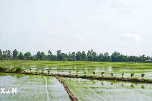 Kiên Giang thiệt hại hơn 8 tỷ đồng do thiên tai trong 9 tháng qua