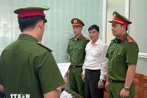 Quảng Bình, Hòa Bình: Khởi tố nguyên Chủ tịch UBND xã, cán bộ Ban Quản lý rừng