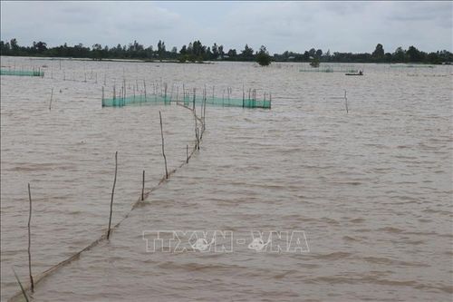 Đồng Tháp: Xả lũ đón phù sa vào ruộng cho hơn 117 nghìn ha