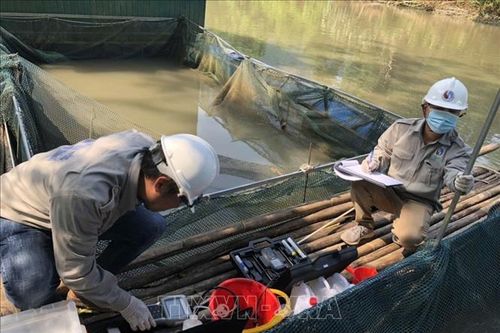Vụ cá chết hàng loạt ở Tuyên Quang: Tất cả mẫu nước đều không đạt quy chuẩn