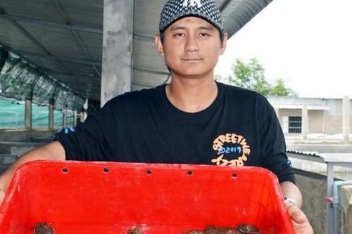 Anh nông dân mỗi năm thu lãi 2 tỷ đồng nhờ nuôi con 'khổng lồ, mắn đẻ'