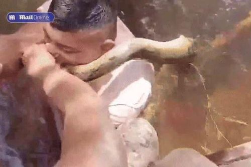 CLIP: Bị trăn 'khủng' quấn quanh người, người đàn ông dùng miệng cắn luôn con trăn và cái kết