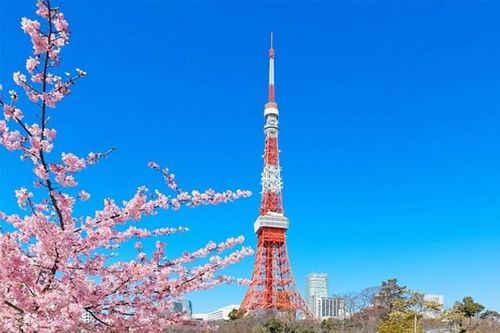 Tháp Tokyo ra mắt tour du lịch 'hút' khách quốc tế hạng sang
