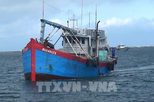 Thanh Hóa sẽ kiểm điểm tổ chức, cá nhân nếu vẫn để tàu cá cập cảng tự phát